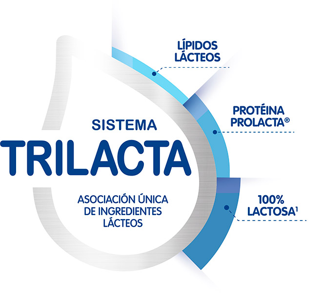 Sistema Trilacta Damira Natur 1
