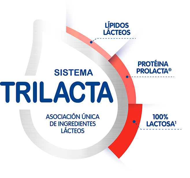 Sistema Trilacta Damira Natur 2